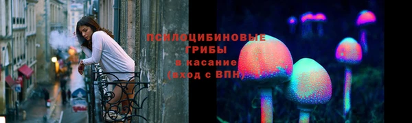 стафф Краснослободск