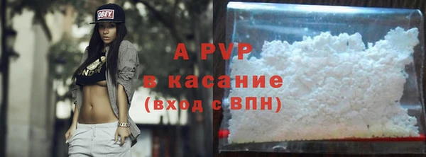 стафф Краснослободск