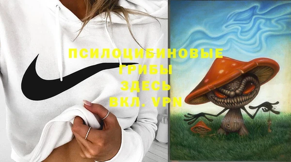 стафф Краснослободск